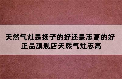 天然气灶是扬子的好还是志高的好 正品旗舰店天然气灶志高